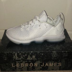 Nike Shoes - Lebron XIV Low Nike Shoes - Lebron XIV Low